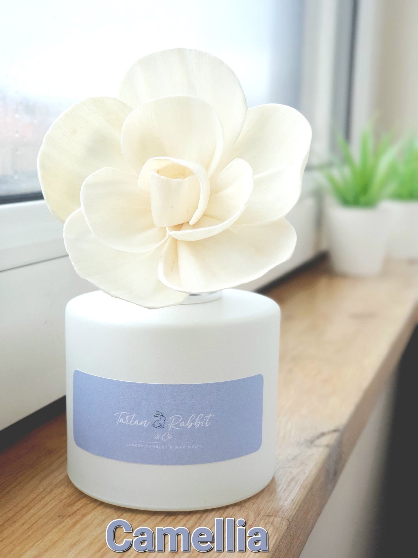 Almond Milk & Sea Salt  |  Room Fragrance Diffuser