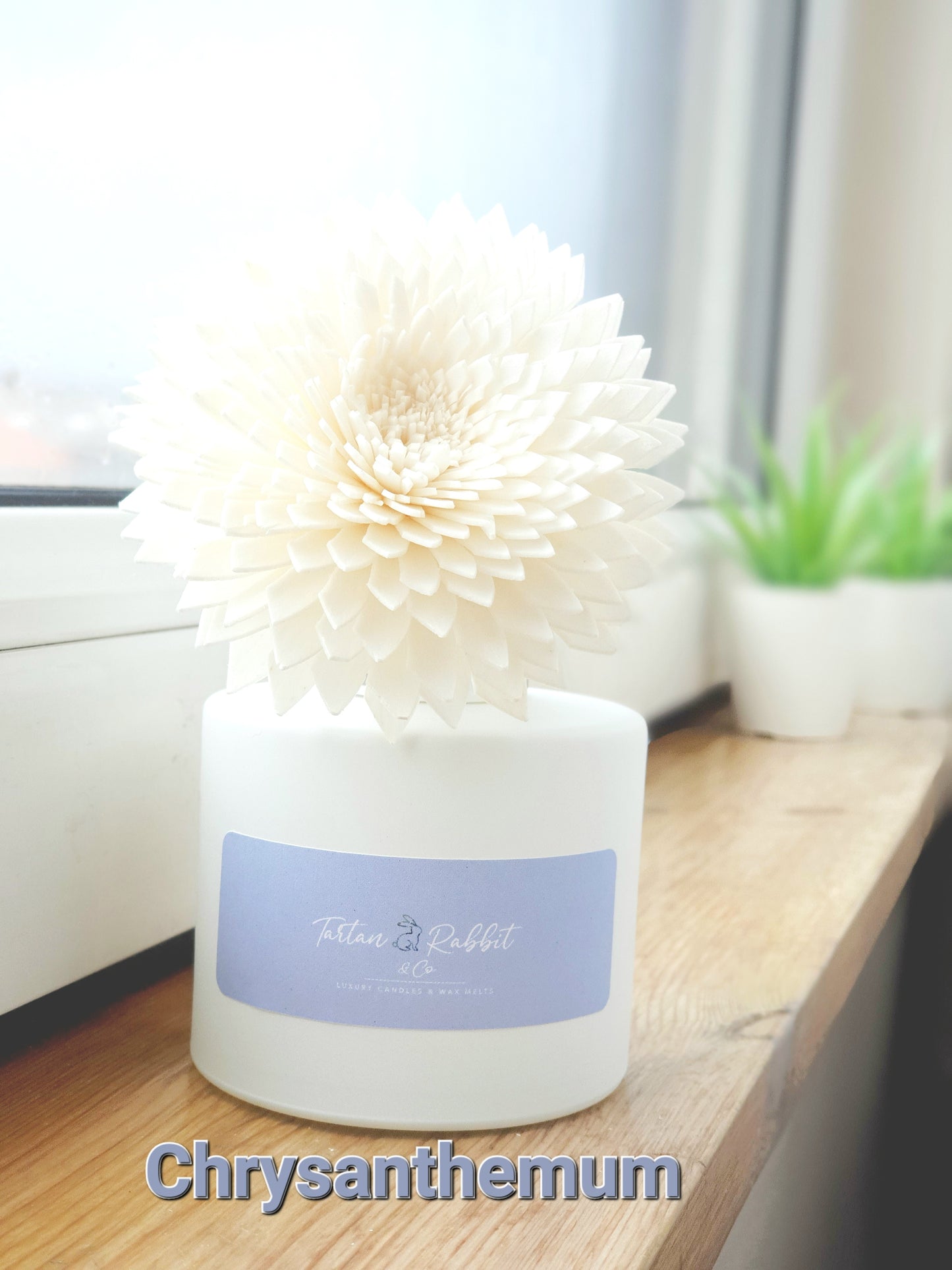 Almond Milk & Sea Salt  |  Room Fragrance Diffuser