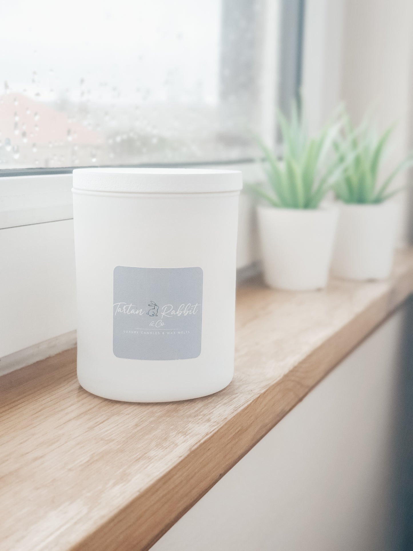 Baby Powder  |  Soy Candle