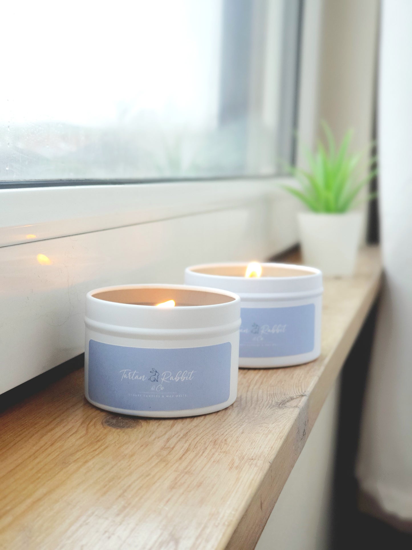 Almond Milk & Sea Salt  |  Scented Soy Candle