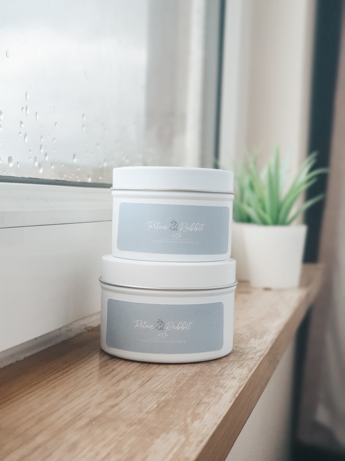 Baby Powder  |  Soy Candle